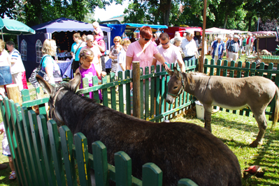 Bauernmarkt Enniger 2013