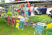 Spargelmarkt Enniger